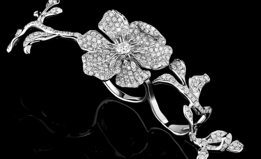 STÉFÈRE’s Midnight Garden Unveiled at Hôtel Costes During Paris Couture Week