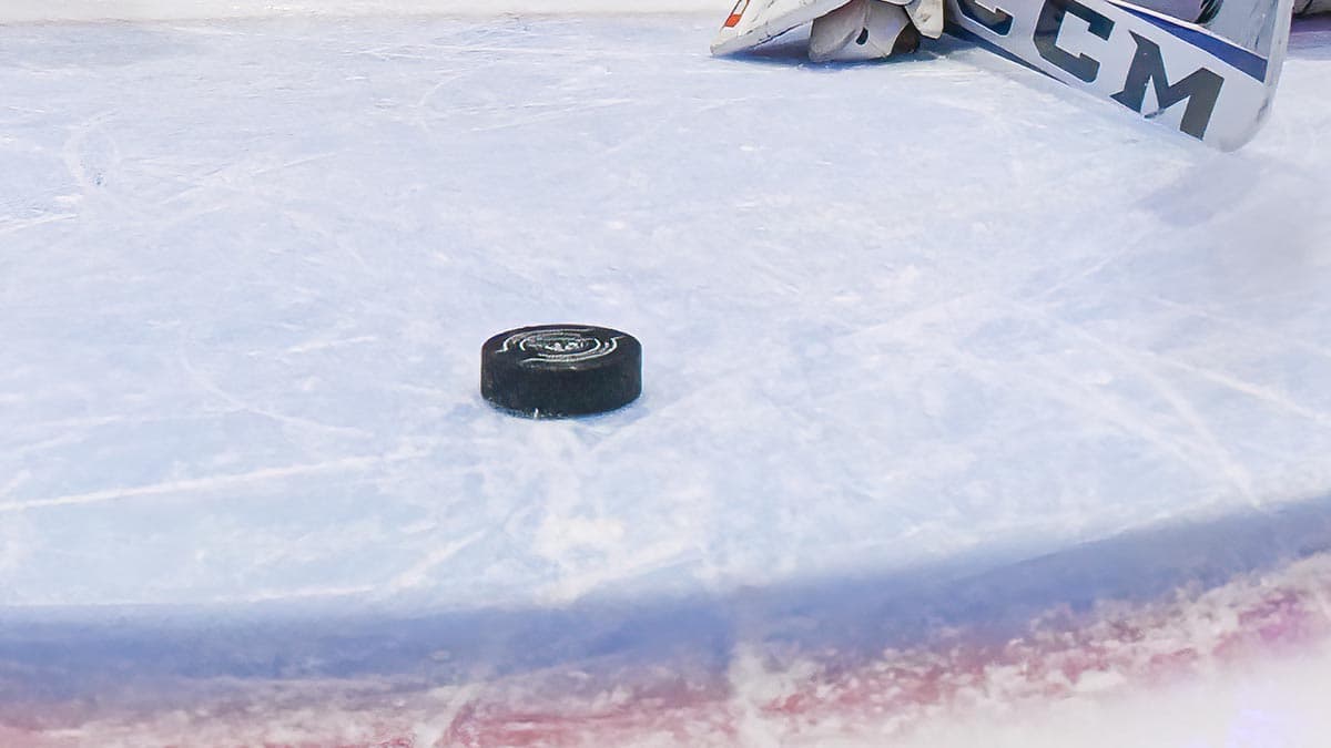 AHL free agency opens with veteran depth signings across the league