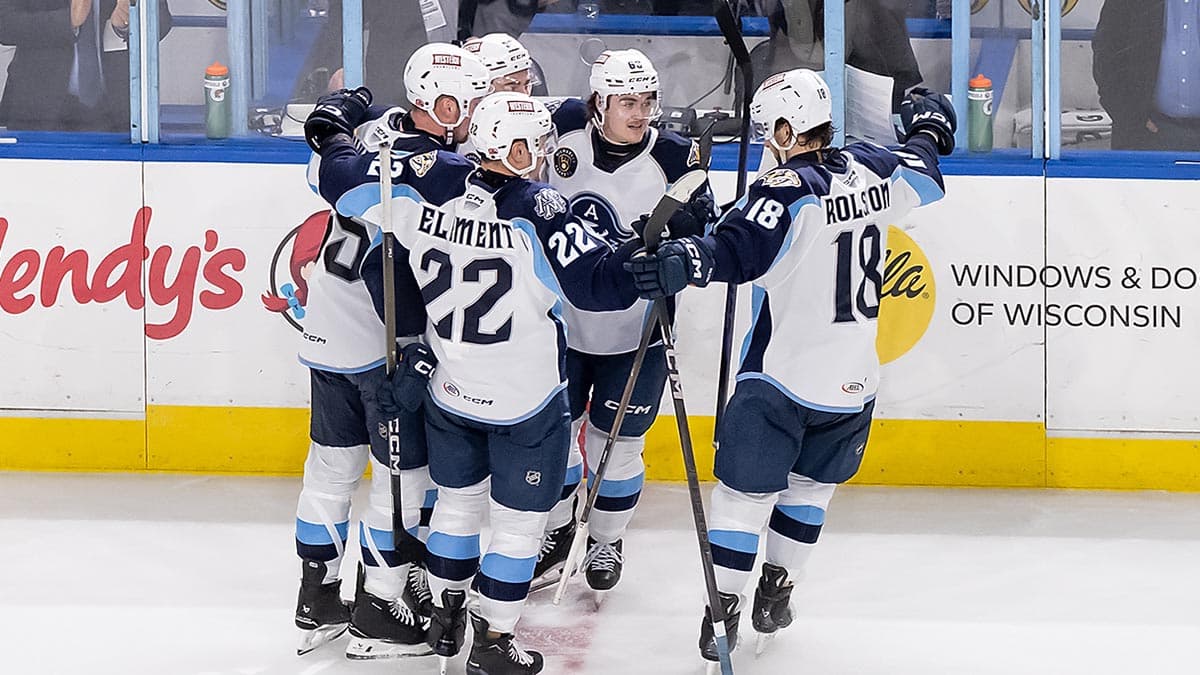 Admirals steady after nine-game December skid with wins