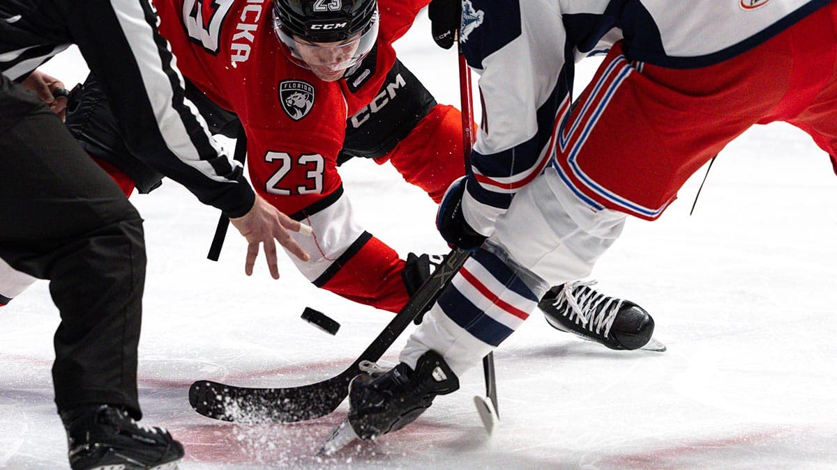 Charlotte Checkers-Hartford Game Postponed to Monday Noon After Roof Leaks
