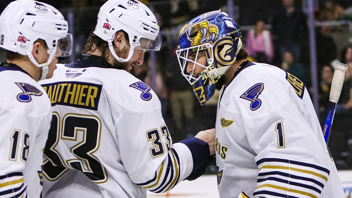 AHL Playoff Races Tighten With Nine Spots Claimed Entering April