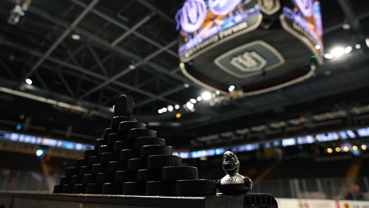 AHL playoff preview: four series open, Toronto hosts Rochester again