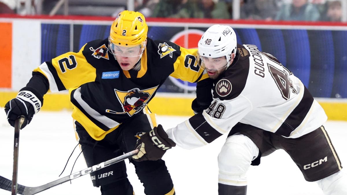 Penguins and Bears renew historic playoff rivalry in Atlantic Division semifinal