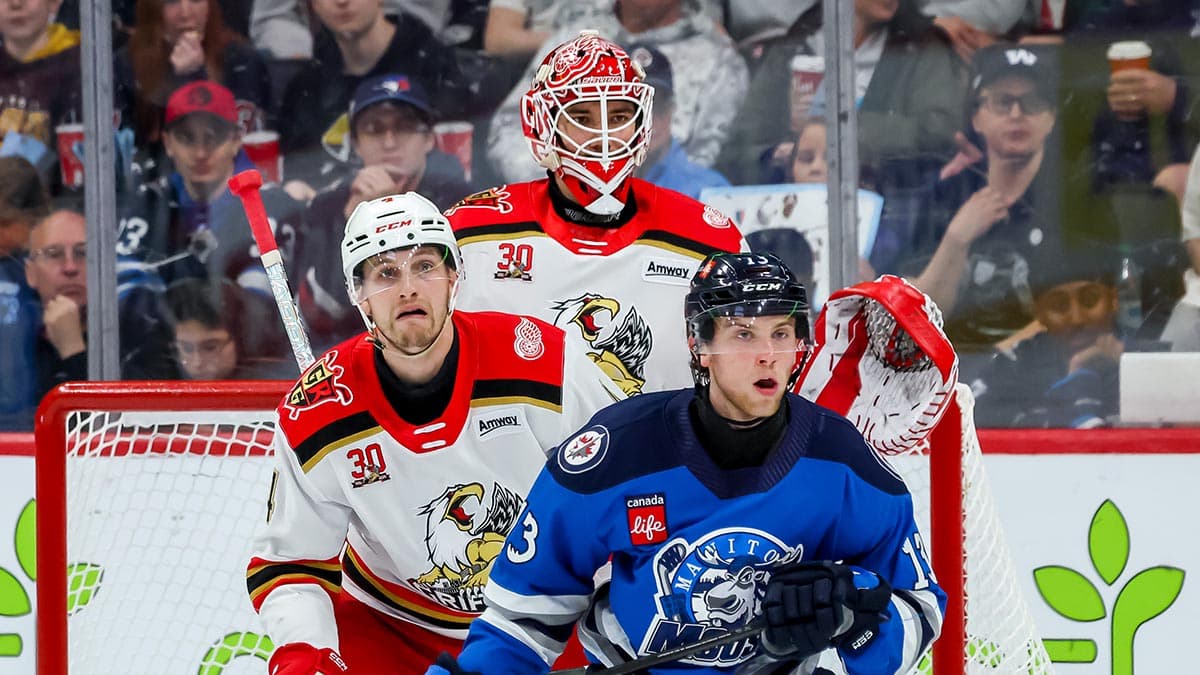 Griffins, Moose series turns on goalies after 123 saves in two games