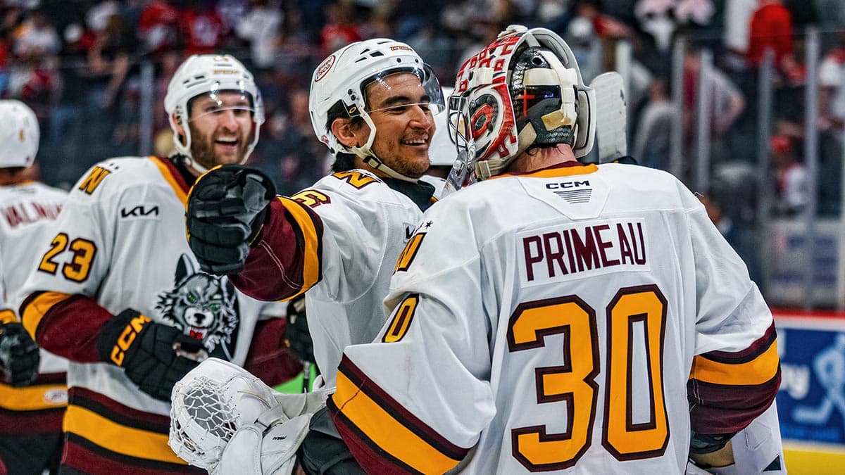 Springfield rallies again as Chicago seeks Central Division sweep