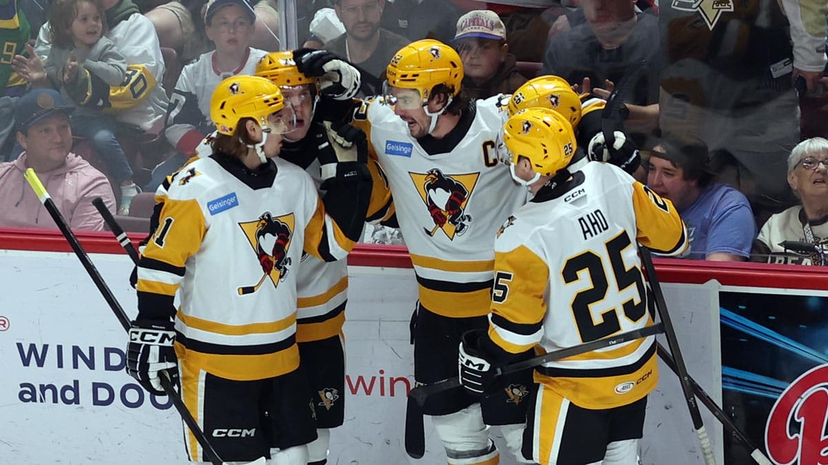 McGroarty's overtime goal lifts Penguins over Bears, reclaim series lead