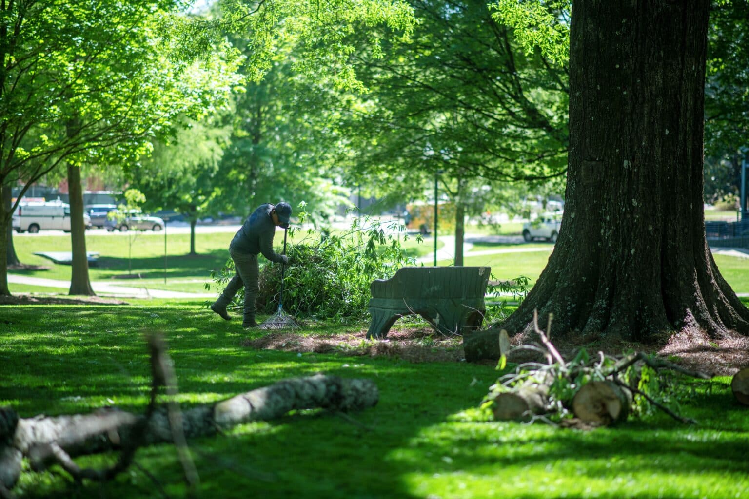 Mississippi Forestry Commission Grant Funds 29 New Trees on Ole Miss Campus