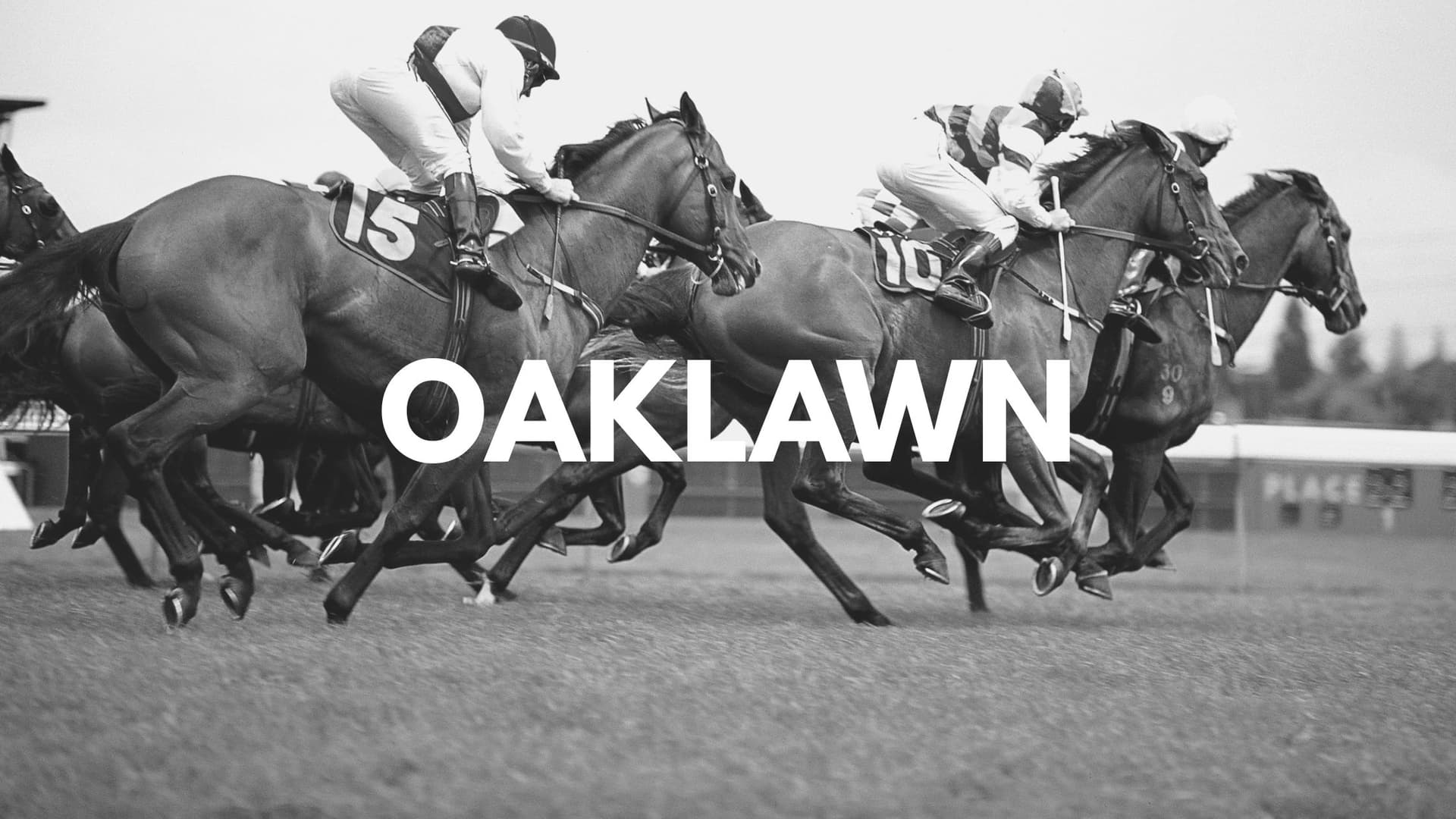 Oaklawn Park caps season with higher handle, purse gains, familiar leaders atop standings