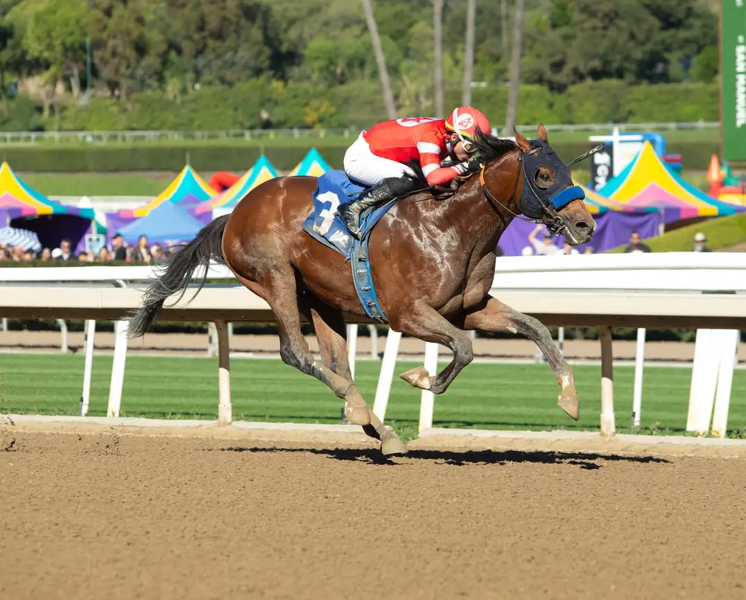 Secured Freedom captures Affirmed Stakes in first stakes win