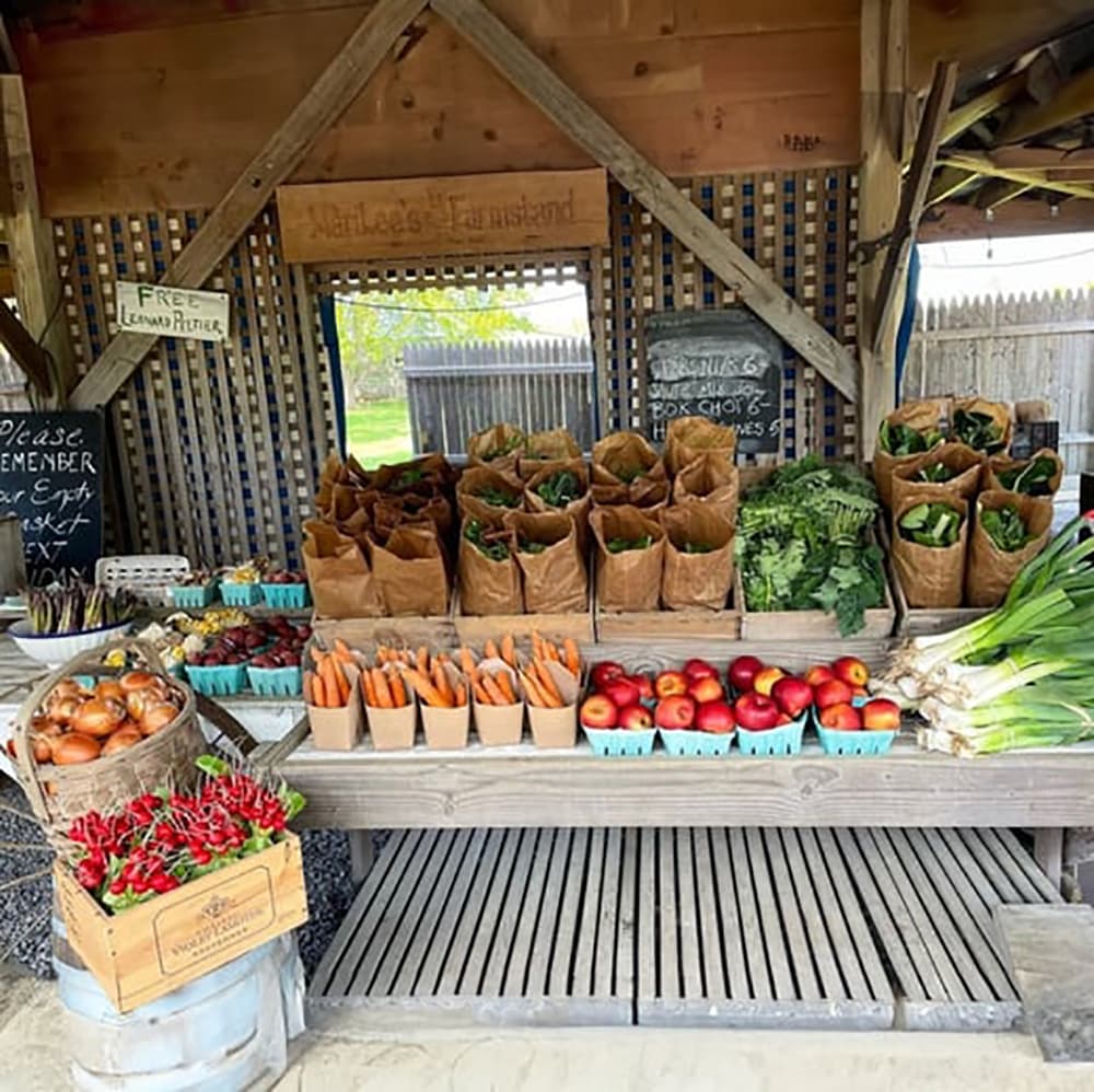 Local Farm Stands Expand in Hernando County, Boosting Small Sellers