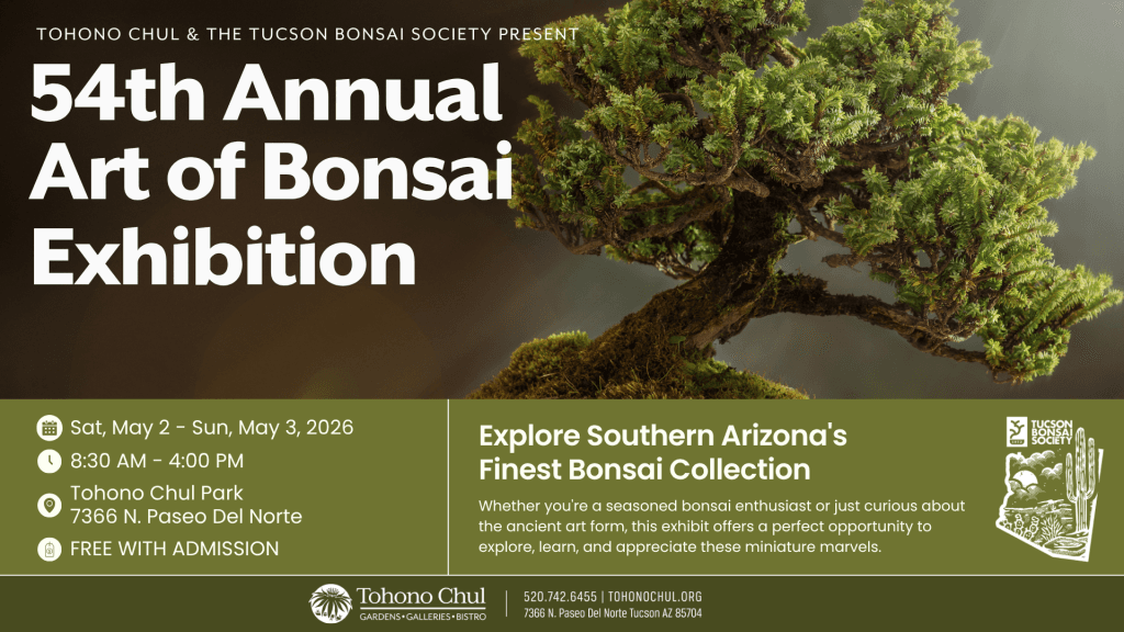Tohono Chul to host 54th Annual Art of Bonsai Exhibition in Tucson