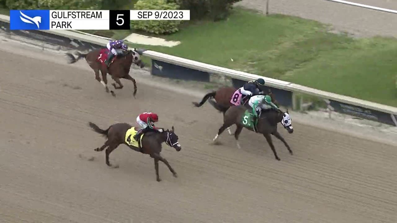 Hernan Parra Suspended 15 Days After Dexamethasone Positives, Fined $2,500