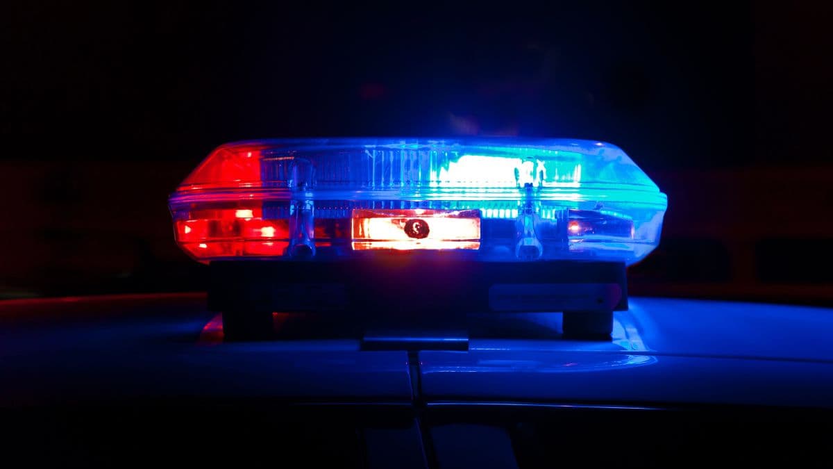 Late November Police Log Shows Rising Theft and Wildlife Incidents