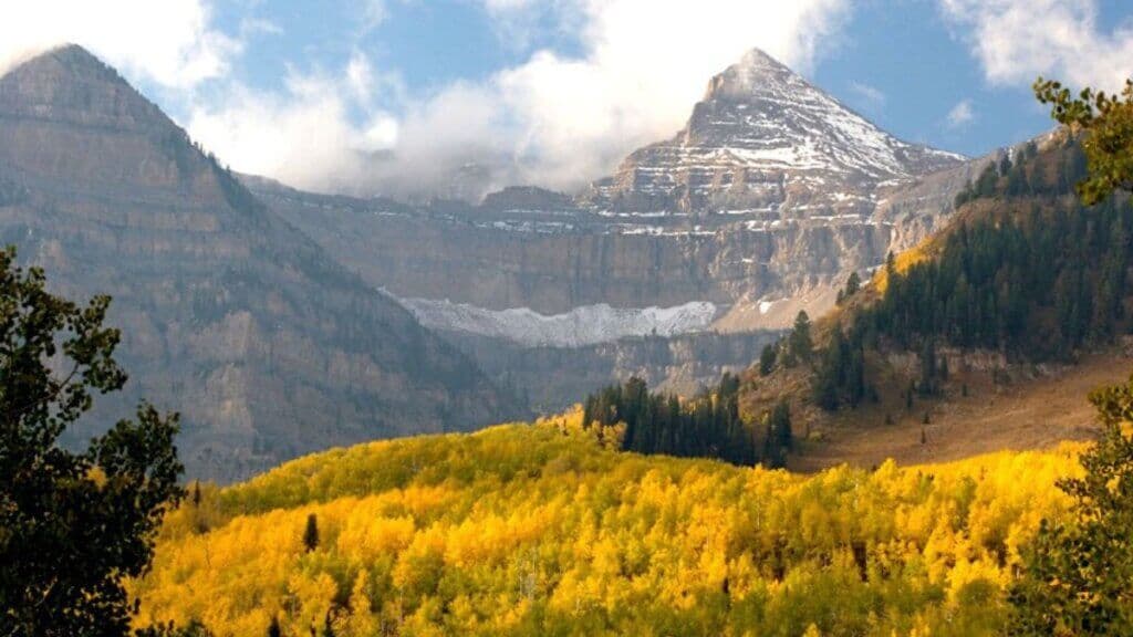 Trump Plans to Move Forest Service HQ to Utah, Close Labs in 31 States