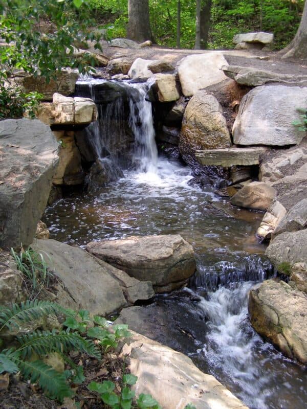 Greensboro Launches Campaign for Bog Garden and Gateway Gardens