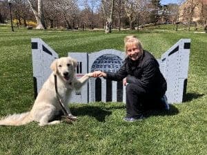 Ohio State’s dog yoga program blends wellness, therapy, and community