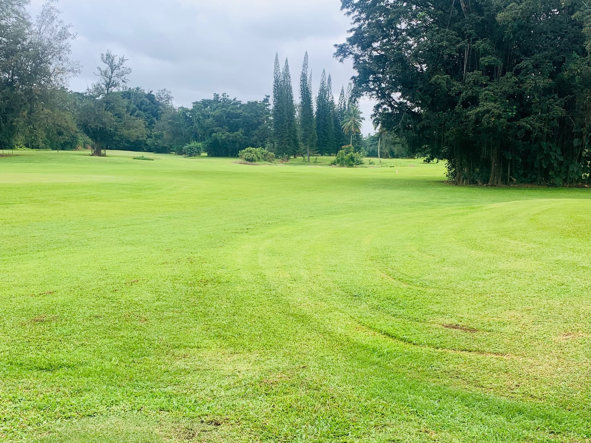 Lawmakers seek HCDA control, Naniloa acquisition to revitalize Banyan Drive