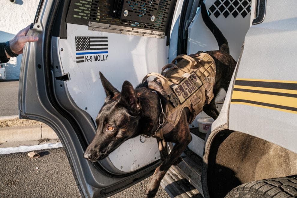 Union County Sheriff’s K9 training equipment vandalized at fairgrounds
