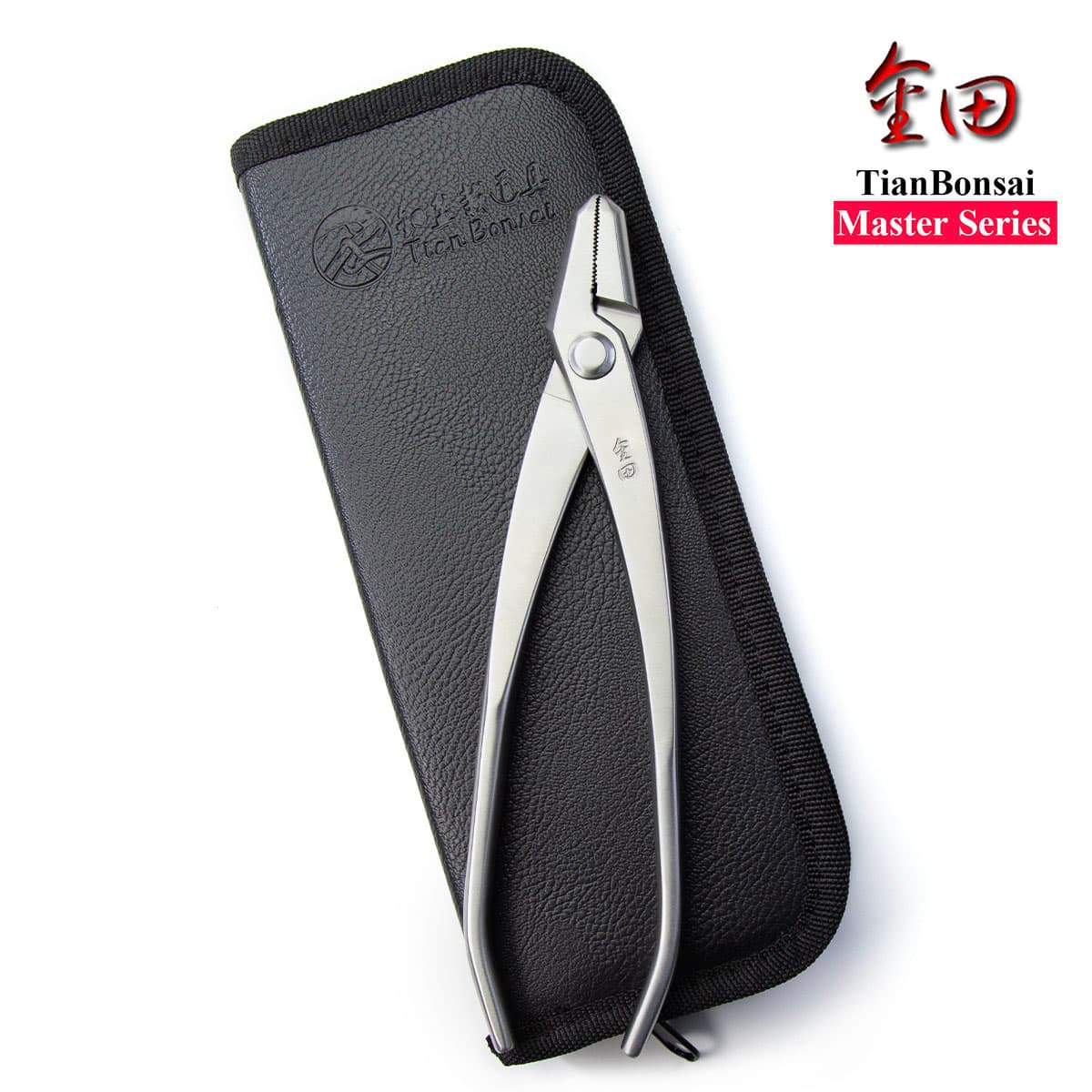 TianBonsai Publishes Three Practical Bonsai Care Guides for All Levels