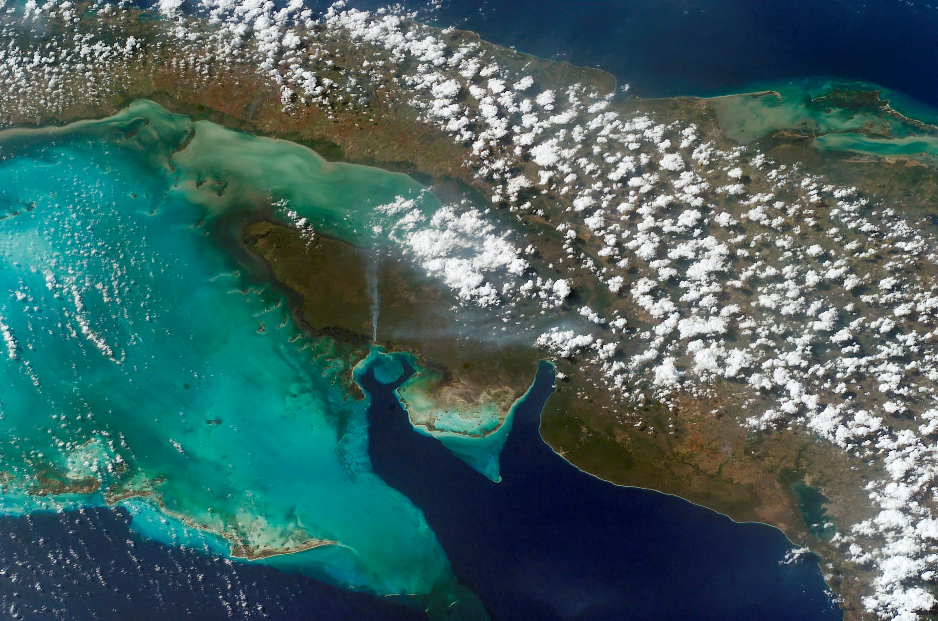 Cuban freedivers use recycled materials to protect coral reefs