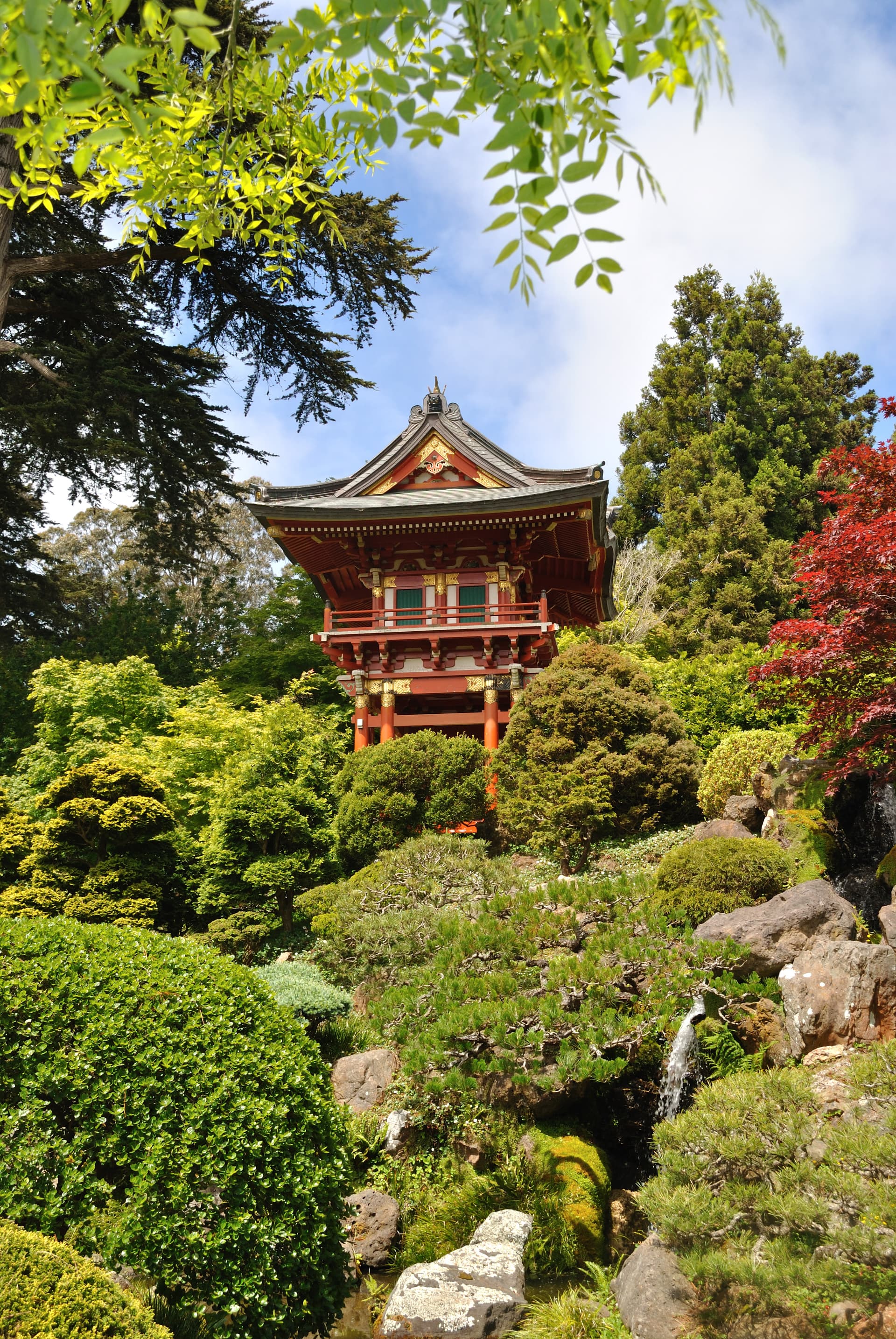 Golden Gate Park’s improbable survivors, bison, glasshouse and Japanese garden
