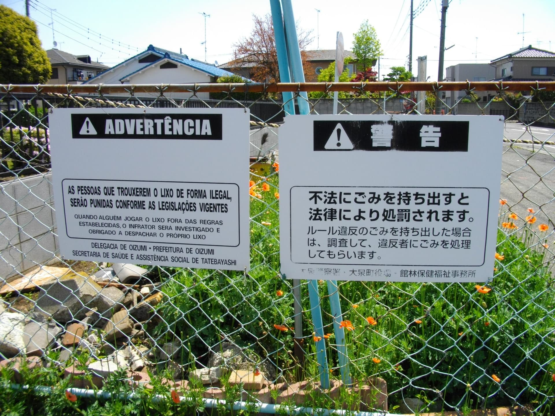 Brazilian diaspora in Japan faces split loyalties as teams meet