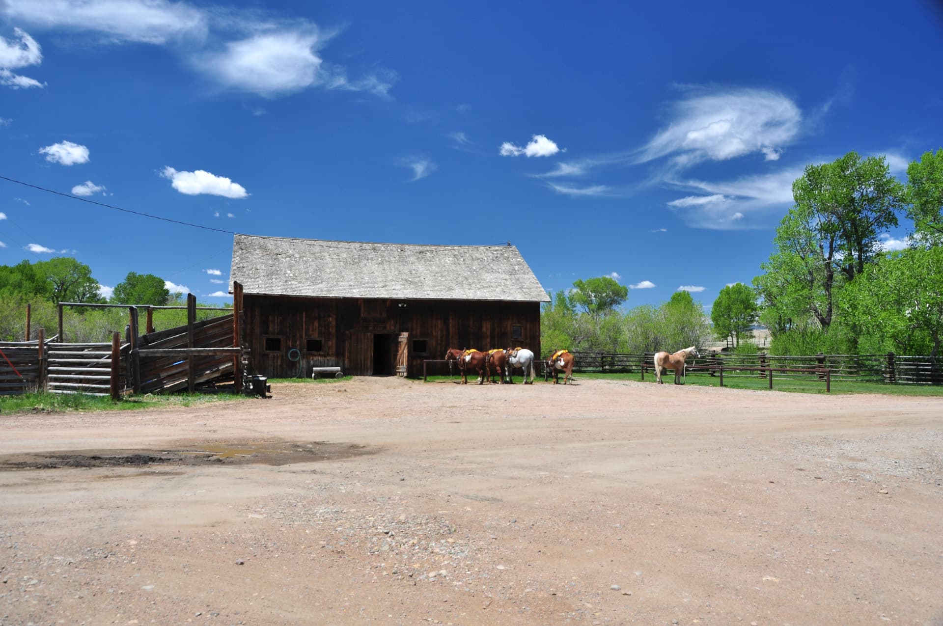Related photo