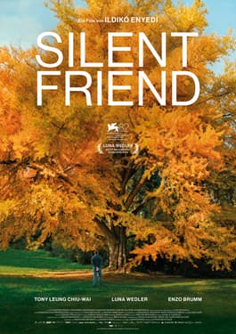 Silent Friend spans a century through one ginkgo tree