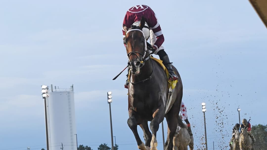 Razorback Handicap at Oaklawn Features $500,000 Purse and Infield Opening