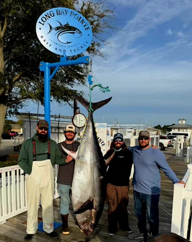 Huge bluefin sightings push offshore activity off Virginia Beach