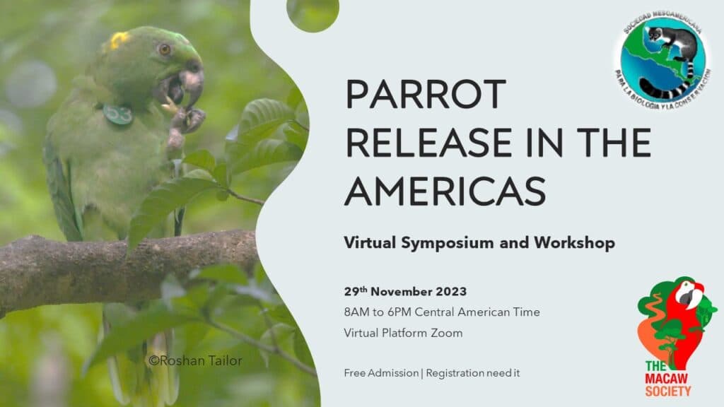 APHA and RSPCA Advise Gradual Outdoor Release to Ease Bird Stress