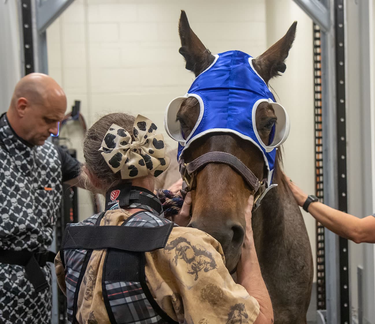 Cornell, NY State and NYRA Launch Three-Year Fetlock Injury Imaging Study