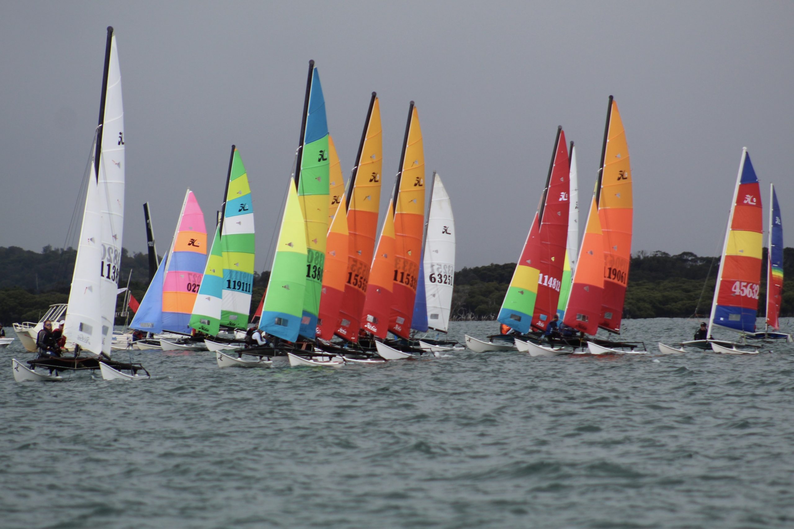 Kurnell Catamaran Club cancels Sunday regatta as winds exceed safety limits