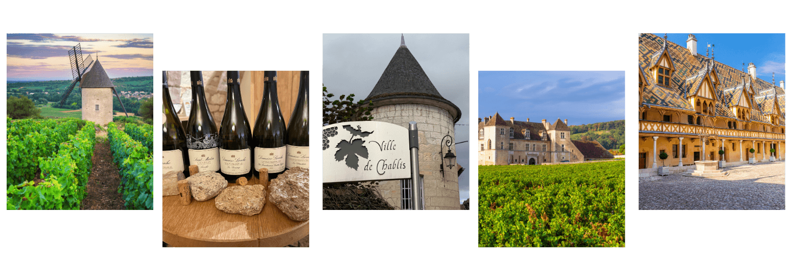 Stony Brook Boutique, Rosenthal Launch Small-Group Wine Tours to France, Italy