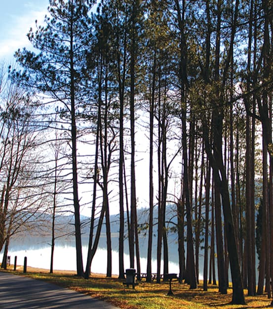 Ferdinand State Forest and Nearby Trails Offer Year-Round Recreation and Access