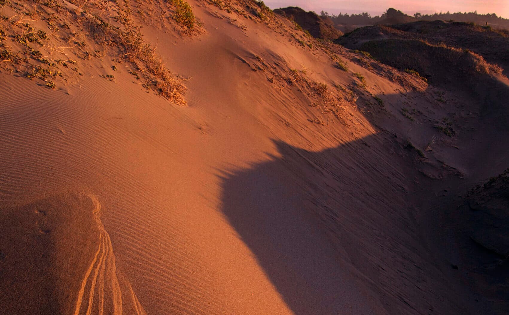 Mitote at the Dunes Brings Culture, Community to Humboldt Coast