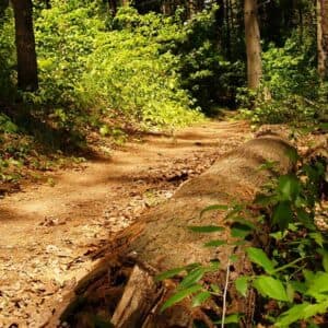 Vinton County CVB Guide Centralizes Trails, Parks, and Outdoor Recreation Resources