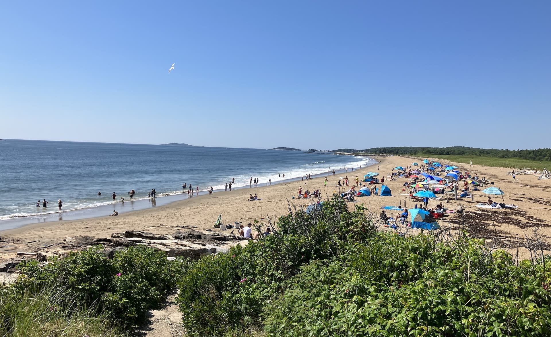 Reid State Park draws summer crowds to Sagadahoc County coast