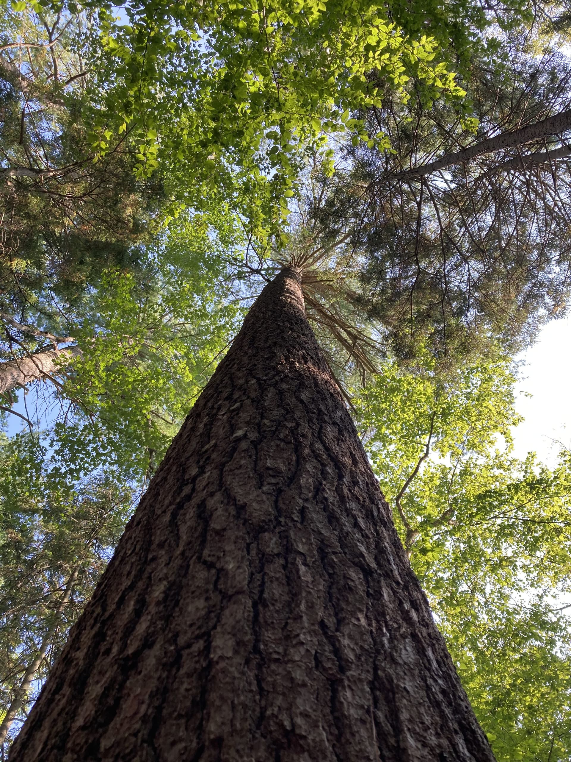 Related photo