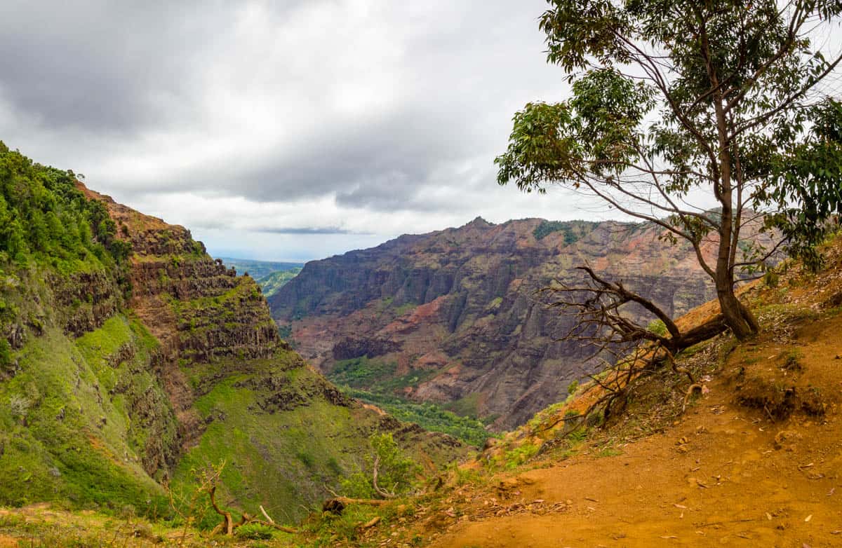 Short Family Friendly Trails in Kōkeʻe and Waimea Canyon