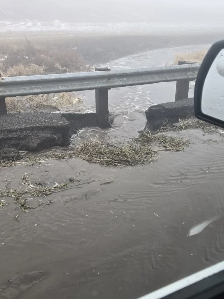 Floodwaters Recede After Atmospheric River, Rural Roads Reopen in Lane County