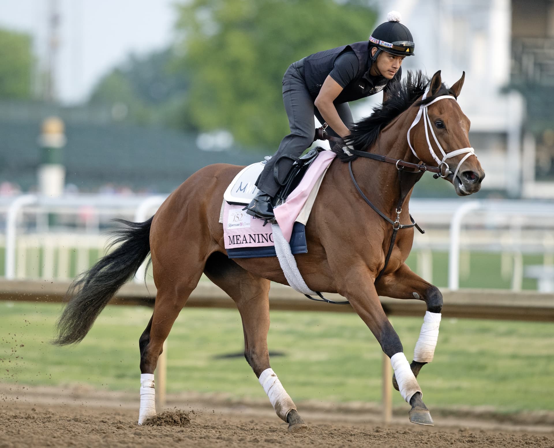Meaning points to Acorn Stakes after runner-up finish in Kentucky Oaks