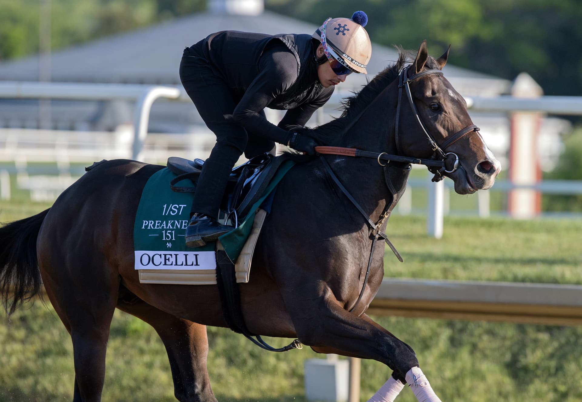 Ocelli skips Belmont Stakes, targets Ohio Derby instead