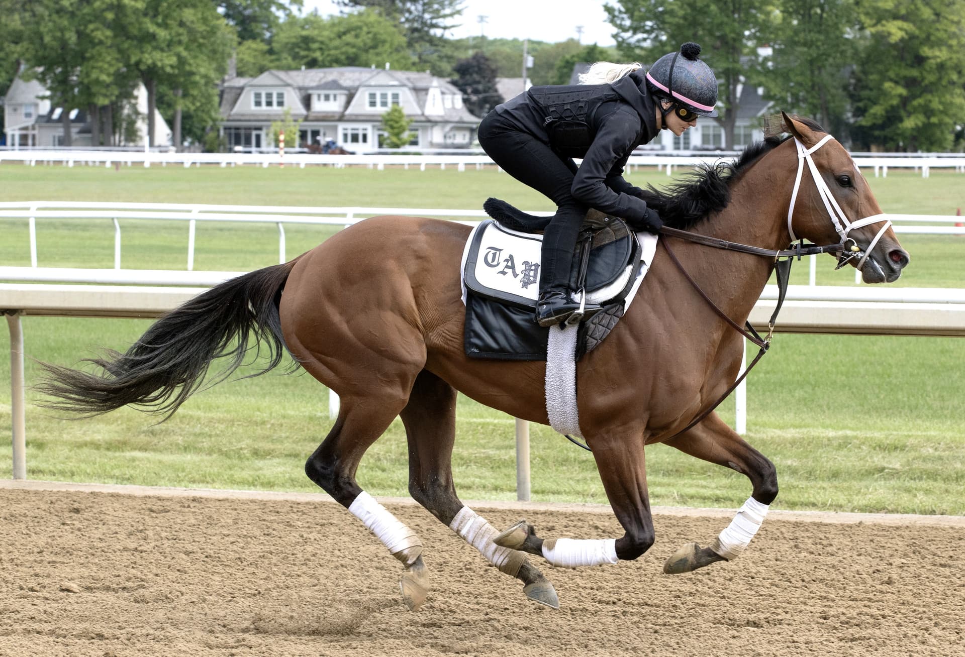 Renegade draws post 4, opens as Belmont Stakes favorite