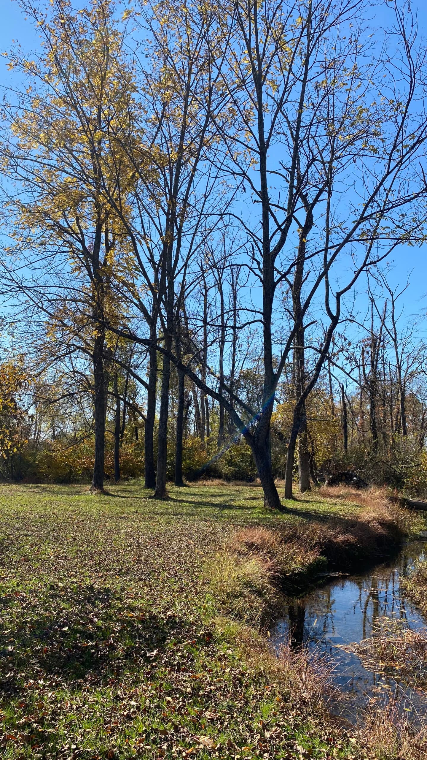 Adams County Preserves Remain Open This Winter, Plan Carefully