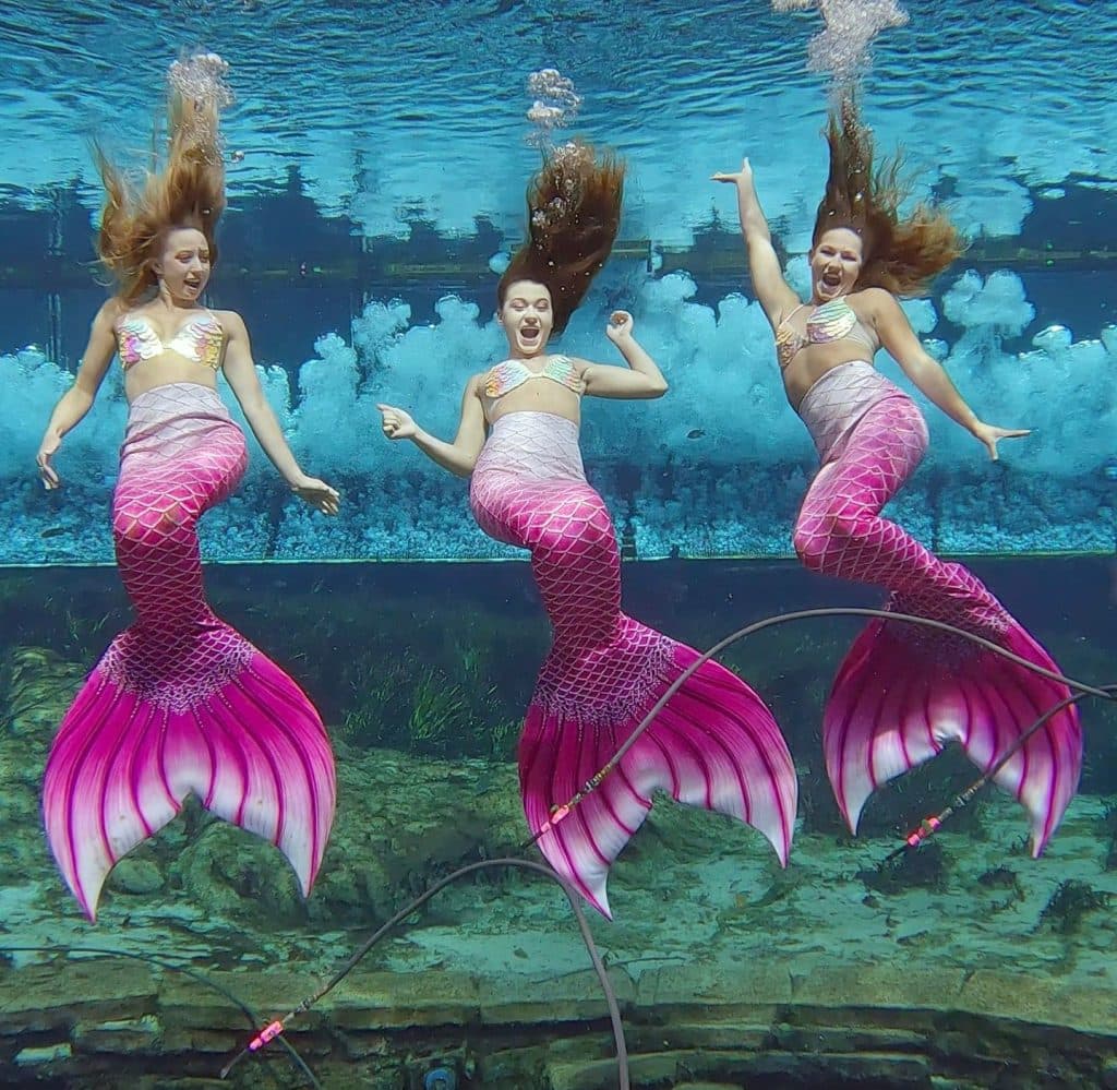 FDOT Adds Hernando County's Weeki Wachee Springs to America 250 Road Trip