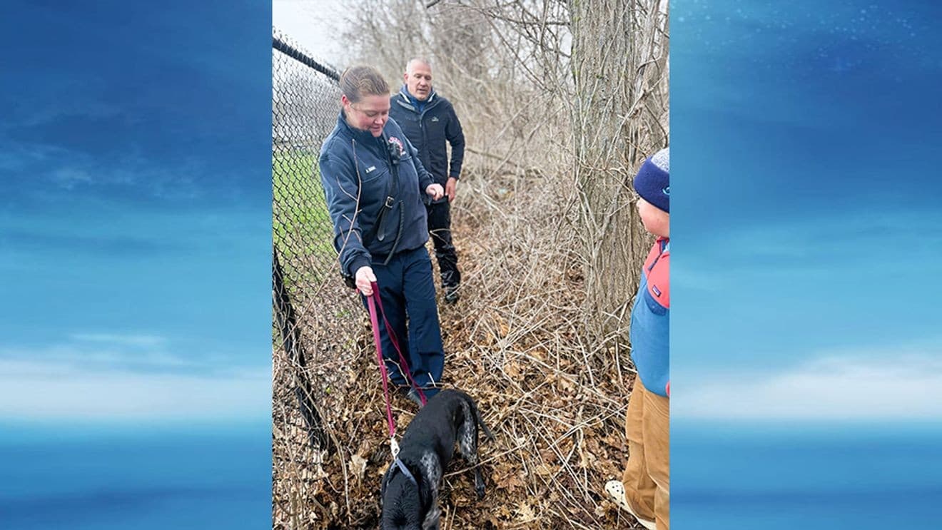 Bath firefighter rescues dog trapped in marsh near dog park
