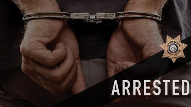 Forsyth County deputies, K-9 team arrest suspected car thief after chase