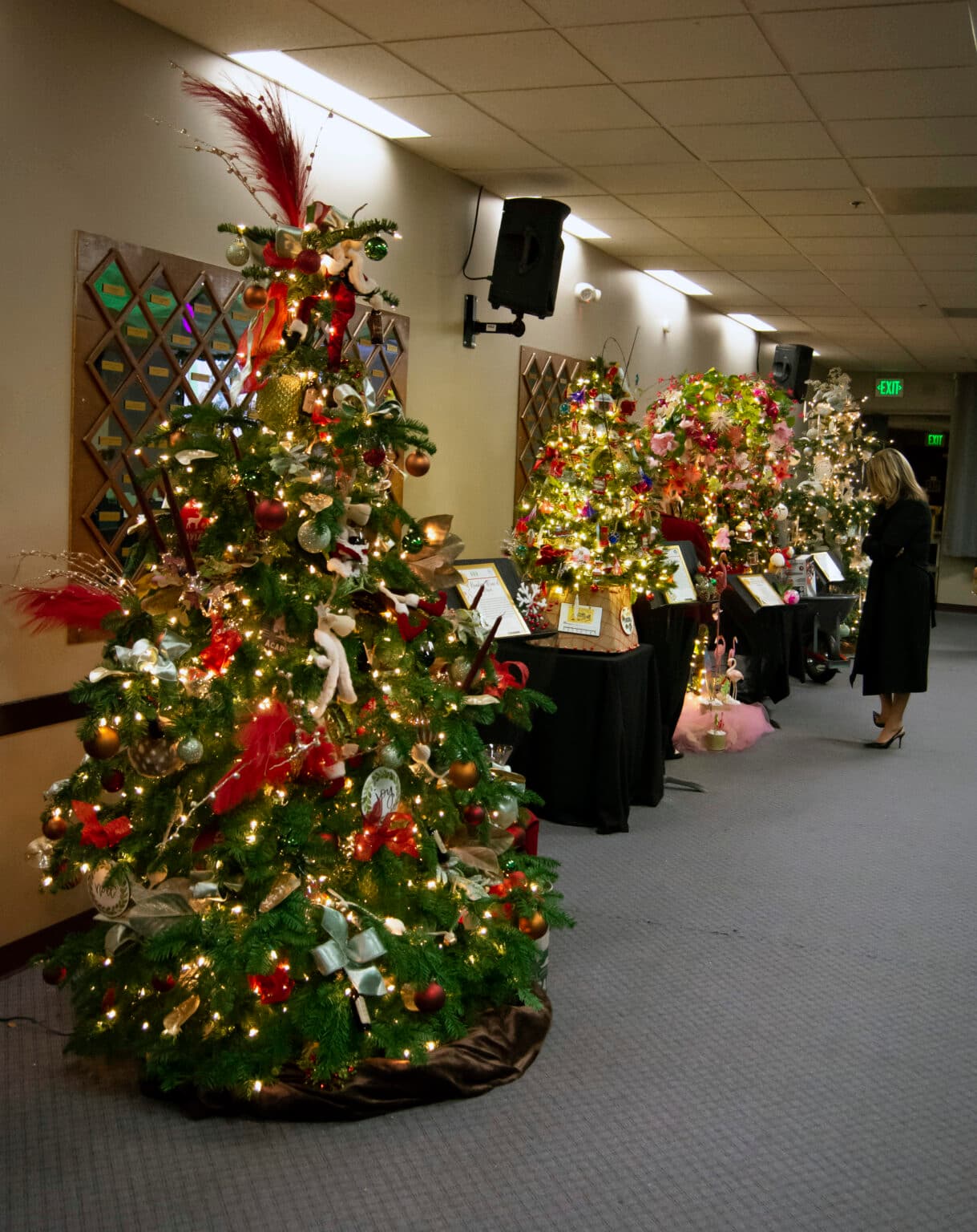 Festival of Trees draws community support, raises funds for local nonprofits
