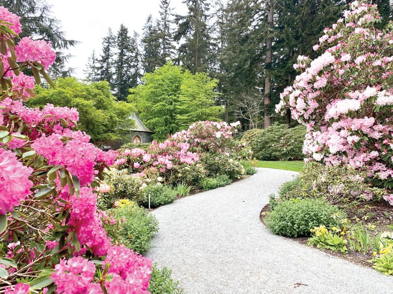 Meerkerk Gardens Offers Spring Bloom, Trails and Quiet Coastal Woods